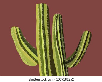 Green Vector Cactus. Prickly Tree with Needles. Cactus for Web Design, Wallpapers, Illustrations, Postcards, Invitations, Textile, Fabrics, Tiles, Posters, Banners. Beautiful Realistic Cactus.