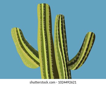 Green Vector Cactus. Prickly Tree with Needles. Cactus for Web Design, Wallpapers, Illustrations, Postcards, Invitations, Textile, Fabrics, Tiles, Posters, Banners. 