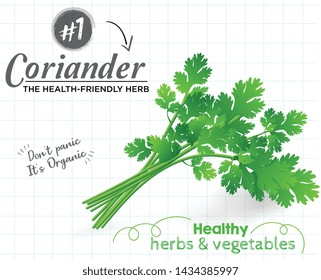 green vector Coriander illustration with text 