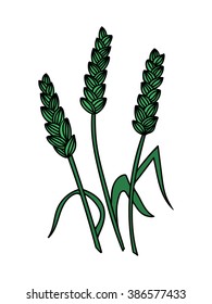 Green vector ears of Wheat, Barley or Rye. Agricultural and bakery industry illustration.