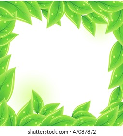 Green vector fresh leaves on white background