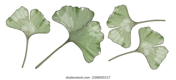 Green vector ginkgo biloba leaves with watercolor technique. Leaves for decoration, creating patterns and designs, postcards, wallpapers, social media posts.