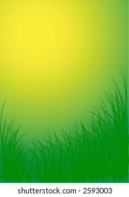 Green vector grass background