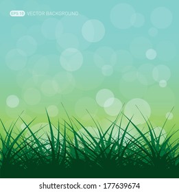 Green vector grass background with place for  text 