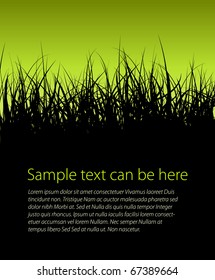 Green vector grass background with place for your text