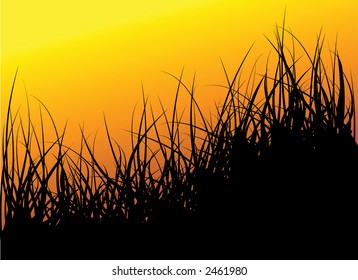 Green vector grass background - sunset