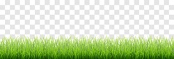 Green Vector Grass Isolated On Png Background. Spring Green Grass, Lawn. Summer Nature Decoration.