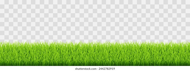 Hierba verde del vector aislada en el fondo del png. Hierba verde de primavera, césped. Decoración de verano