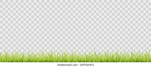 Green Vector Grass On Transparent Background