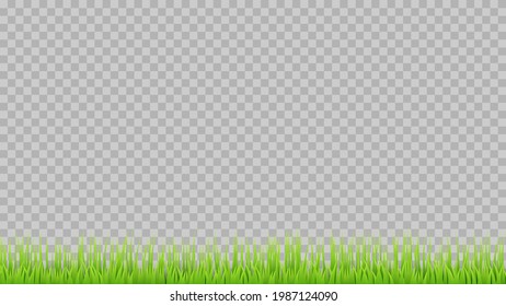 Green vector grass on transparent background