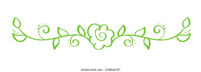 Green Vector Hand Drawn Calligraphic Separator. Spring Flourish Design Element. Floral light style decor for greeting card, web, wedding and print. Isolated Calligraphy and lettering illustration.