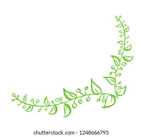 Green Vector Hand Drawn Calligraphic Corner. Spring Flourish Design Element. Floral light style decor for greeting card, web, wedding and print. Isolated on white Calligraphy and lettering illustratio