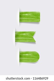 Green vector hand painted watercolor paper tags collection