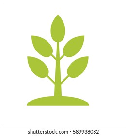 green vector icon of eco tree