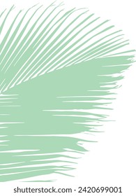 Grüne Vektorgrafik eines großen Cocos nucifera-Palmenblattes auf weißem Hintergrund. Vertikal
