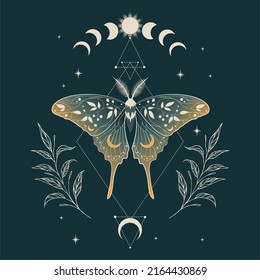 Green vector illustration of moon moth. For print for T-shirts and bags, decor element. Mystical and magical, astrology illustration