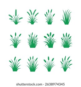 Green vector illustration of various plants and grass silhouettes for design and decoration