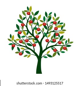 Green Vector Isolated Apple Tree on white background. Red Apple Fruits. Vector Illustration and concept. Plant in garden.