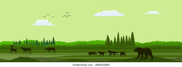 Green Vector landscape with silhouettes of mountains, trees, deers, wolves pack and bear. Banner horizontal