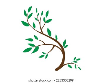 Green vector leaf design and illustration.