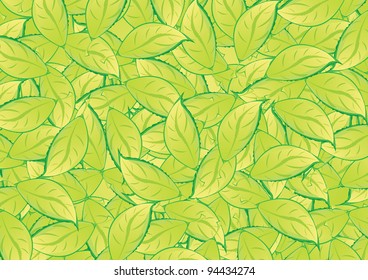 green vector leafs. Eco background.