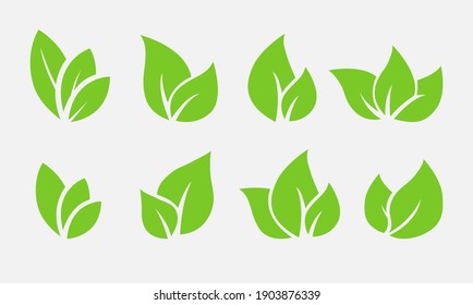Green vector leaves collection - Set of graphical elements to use in environmental friendly logos, icons or as clip art.