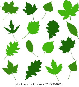 Green vector leaves. Graphic illustration. Silhouette isolated on white background.