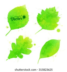 Green vector leaves set in watercolor style