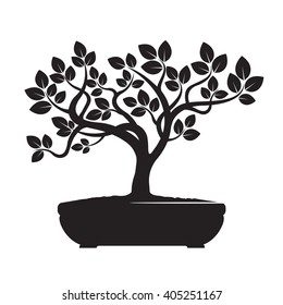 Green Vector Olive Tree. Illustration of Bonsai.