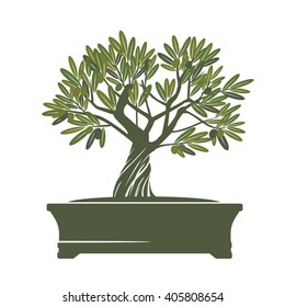 Green Vector Olive Tree. Illustration of Bonsai.
