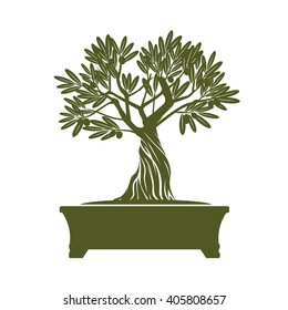 Green Vector Olive Tree. Illustration of Bonsai.