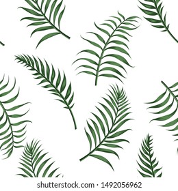 Green vector palm leaves. Seamless design pattern on the white background