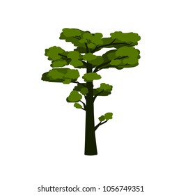green vector pine-tree