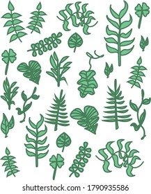 green vector plants exotic botanical
