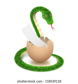 Green vector realistic snake with white piece of paper inside the egg.