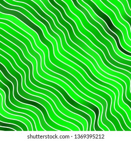 Green vector texture with curves. Abstract illustration with bandy gradient lines. Best design for your posters, banners.