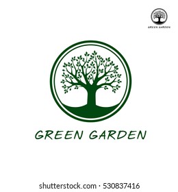 Green vector tree in border. Graphic element.