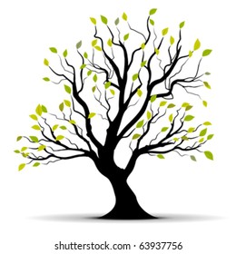 green vector tree isolated over a white background