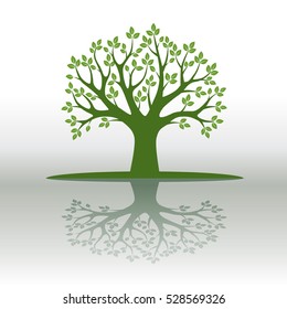 Green Vector Tree and Leafs. Vector Illustration.