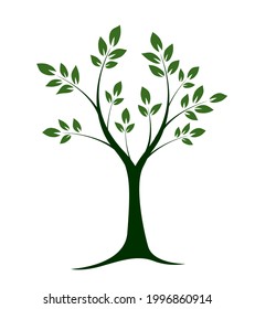 Green vector Tree. Nature and garden.