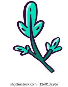 Green vector twig. Hand draw 
Hand draw isolated branch. Green cartoon leaves
