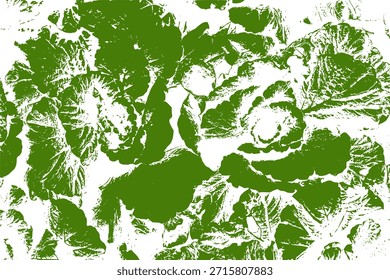 Fondo vegetal verde aislado en blanco