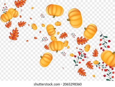 Green Vegetable Background Transparent Vector. Colorful Abstract Border. Red Pumpkin Maple Illustration. Leaves October. Oak Banner.