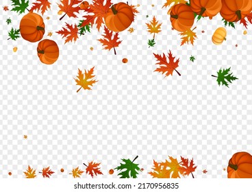 Green Vegetable Background Transparent Vector. Burgundy Autumn Set. Red Pumpkin Abstract Border. Plant Maple. September Banner.