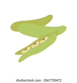 green vegetable broad bean vector illustration