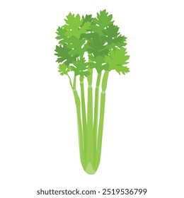 Green vegetable celery stem isolated on white background. Healthy food concept. Vector illustration