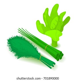Green vegetable icon. Cartoon isometric illustration of green vegetable vector icon for web