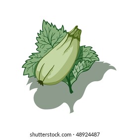 Green vegetable marrow lies on fresh leaf