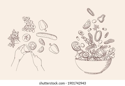 Green vegetable salad in sketch line style  Concept cooking organic healthy food and fresh farm products  Tomato  cucumber  bell pepper  Vegan  vegetarian  dietary  vitamin dish  Vector illustration