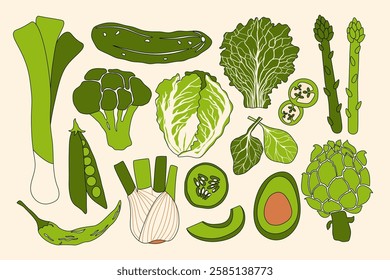 Green vegetable set. Fresh vegetables, organic food with cartoon natural plants leafy salad, healthy veggies grocery cooking concept. Vector collection.